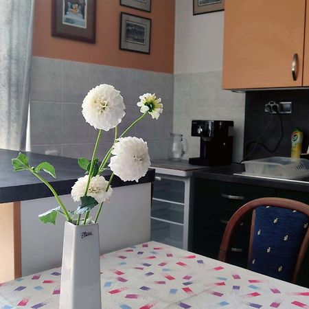 Apartman Ulehla Zlín Eksteriør bilde